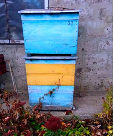 Вітаю продам вулик ,будинок для бджіл