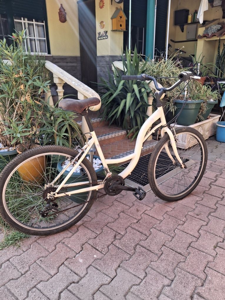 Bicicleta passeio