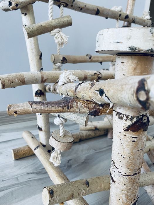 Plac zabaw dla papug