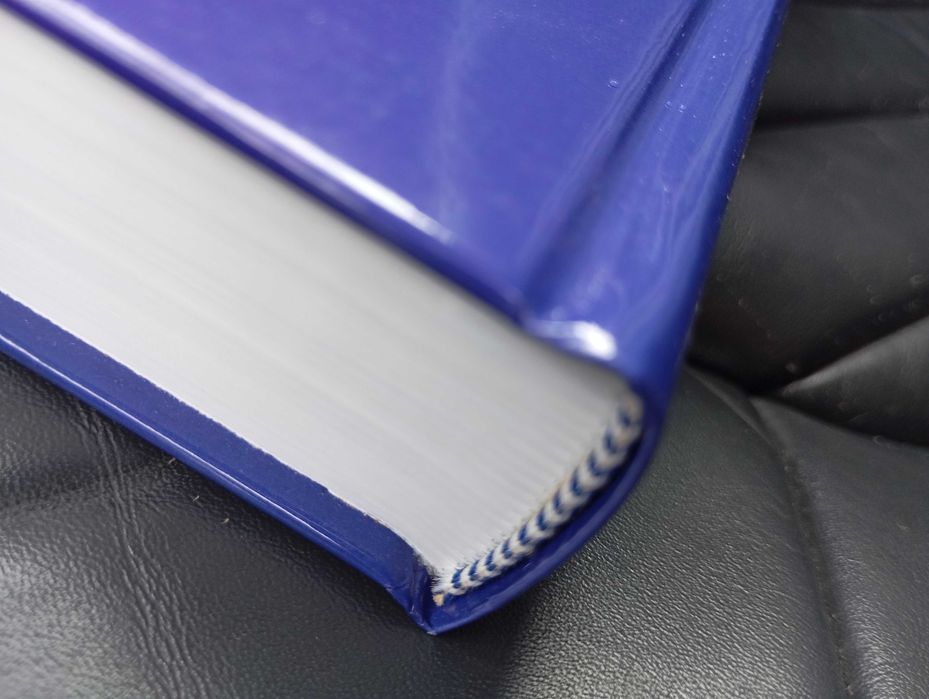 Anatomia dos órgãos