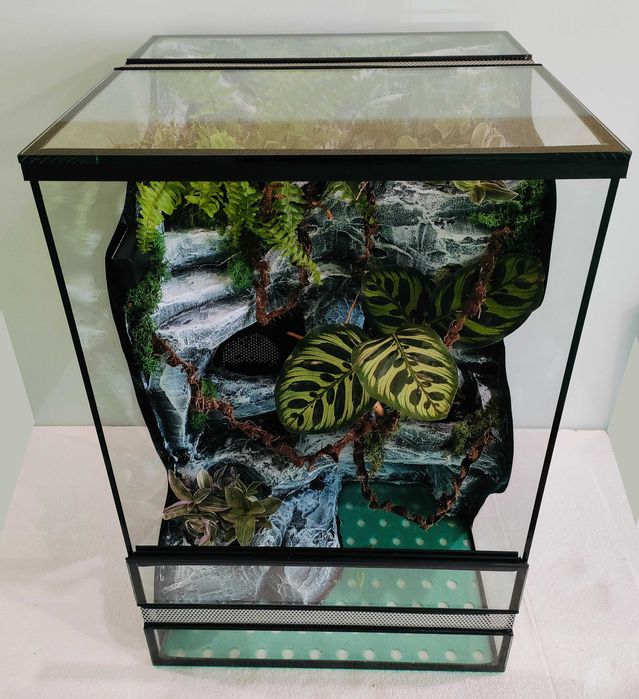 Terrarium dla jaszczurki z pełnym wyposażeniem TW09WSz