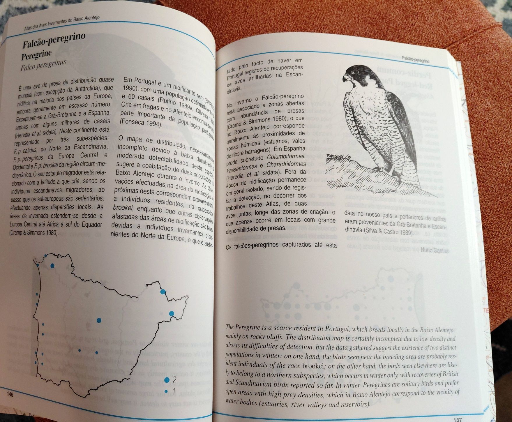 Atlas das Aves Invernantes do Baixo Alentejo - SPA (Como Novo)