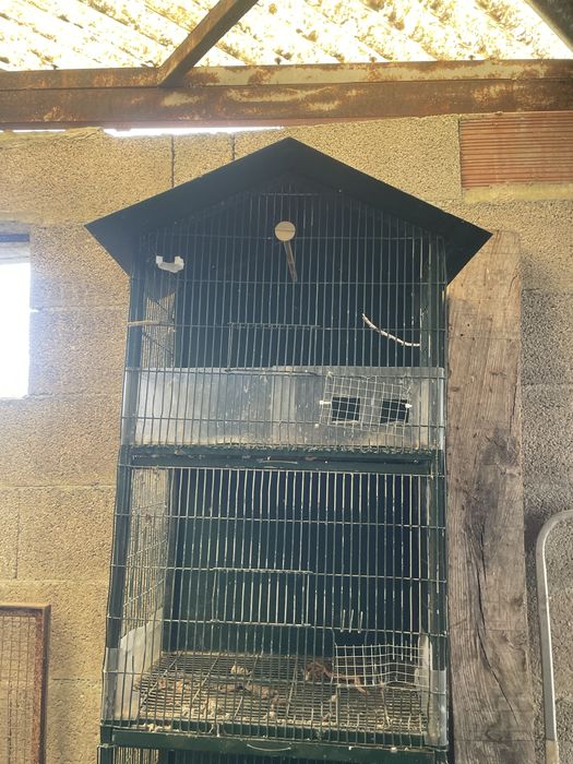 Módulo de gaiolas