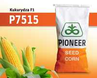 Kukurydza Pioneer P7515 - nasiona kukurydzy Pioneer