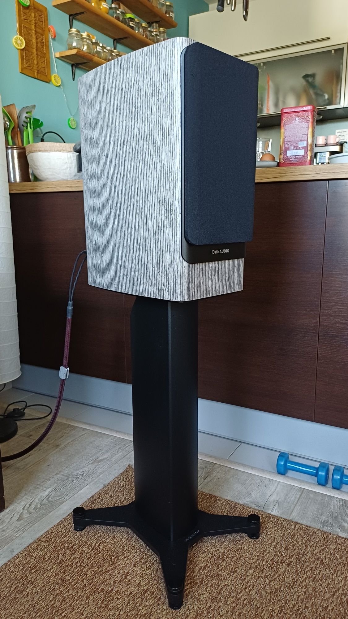 Dynaudio Contour C20i na gwarancji, highend !