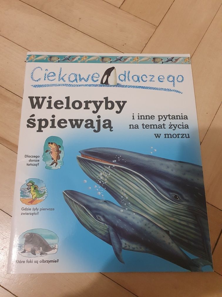 Ciekawe dlaczego wieloryby śpiewają
