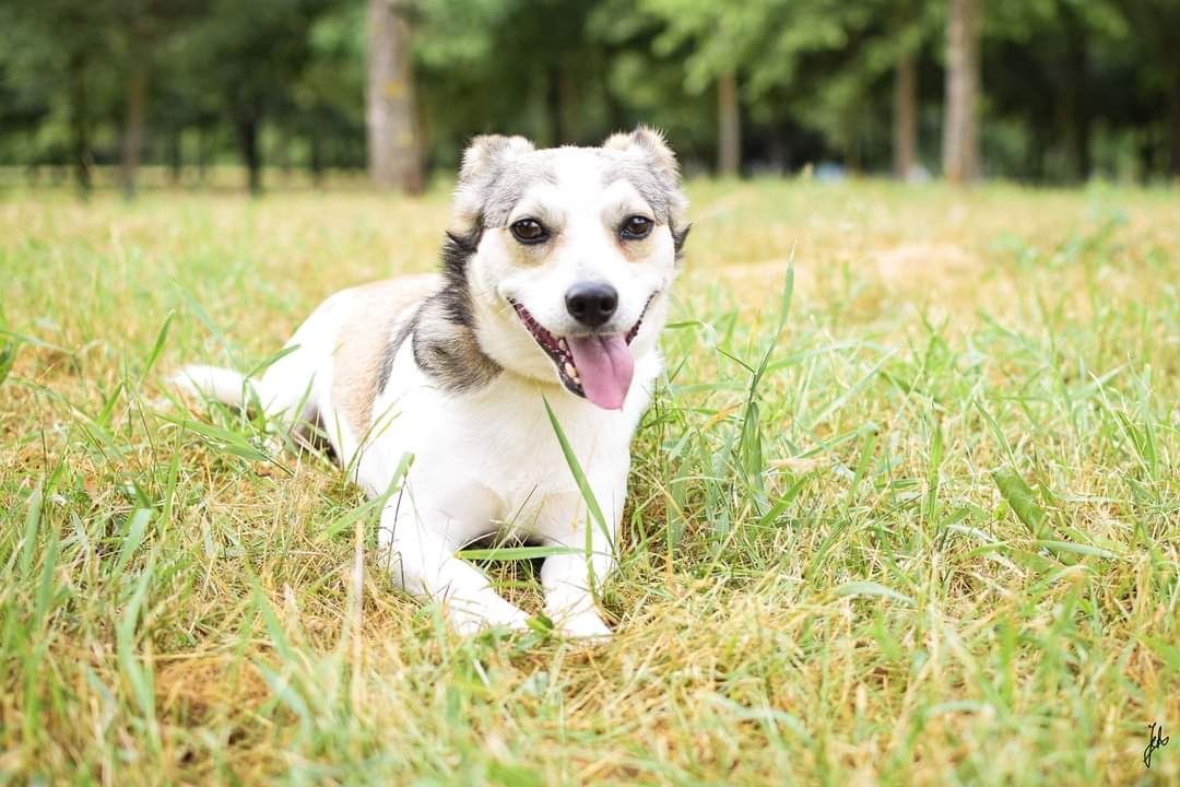 2 letni, przemiły kawaler szuka własnej, kochającej Rodziny!