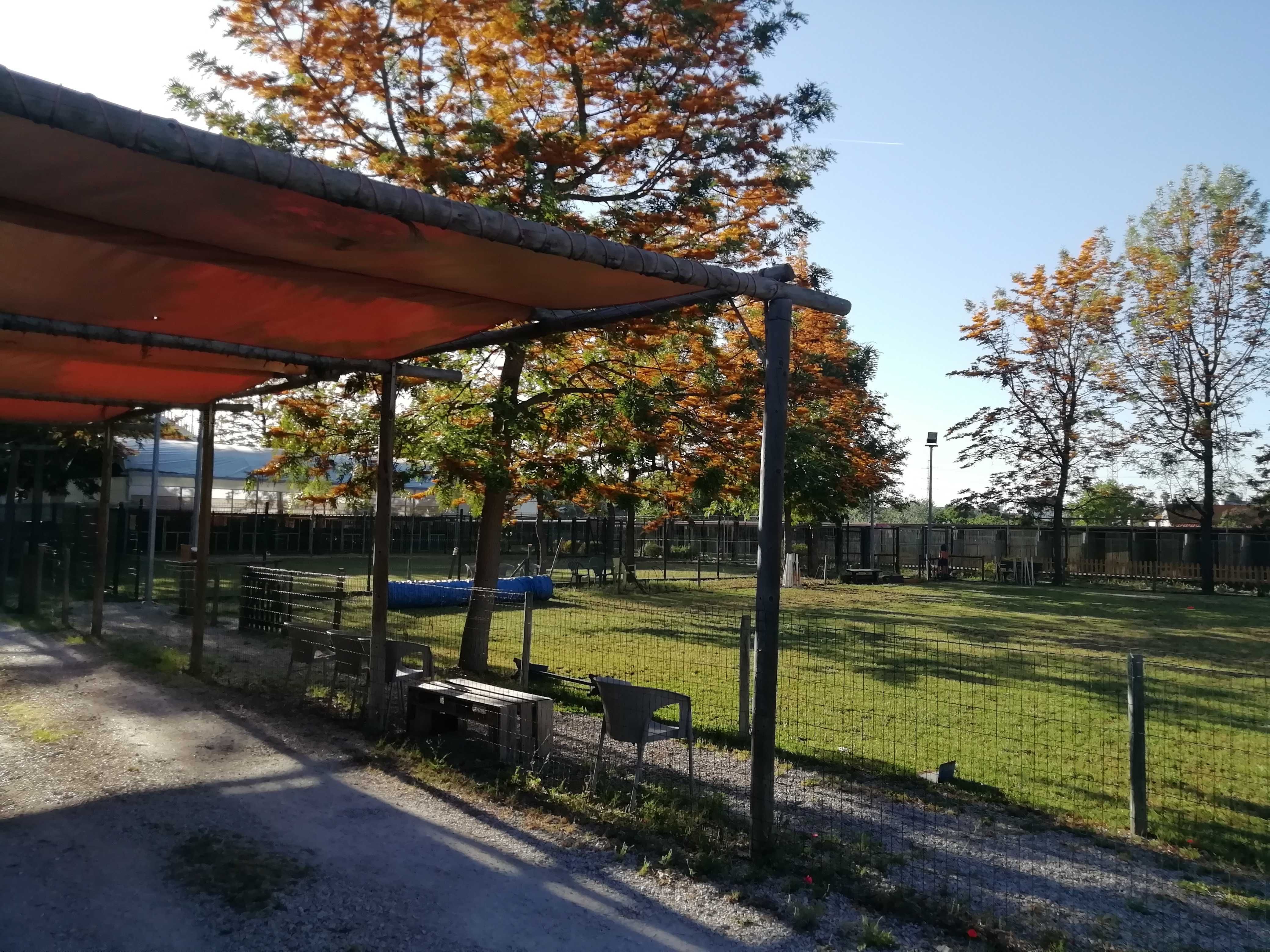 Venda de Hotel Canino, Loja e Clinica veterinária