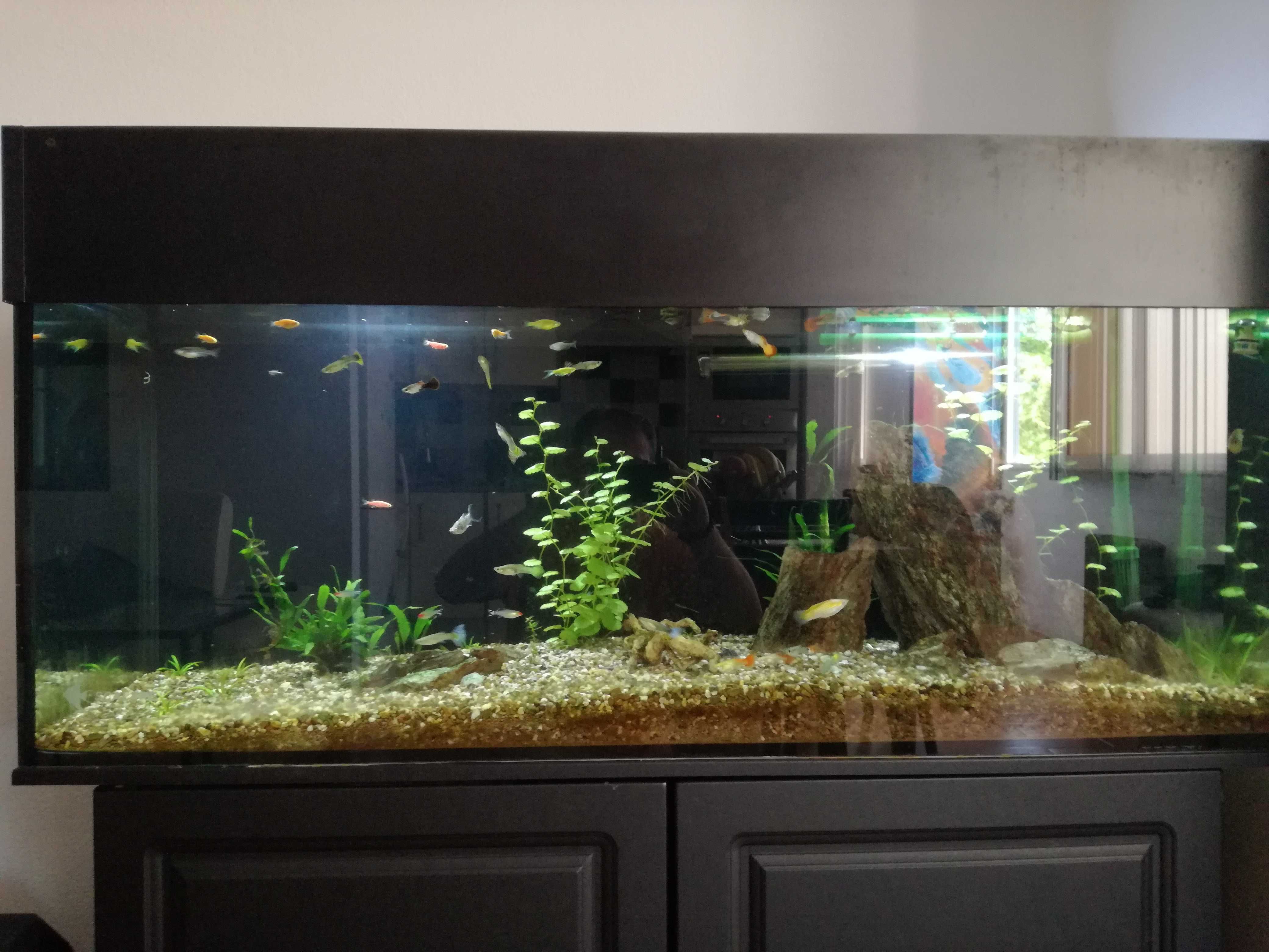 Vendo aquário 1200x500x400mm
