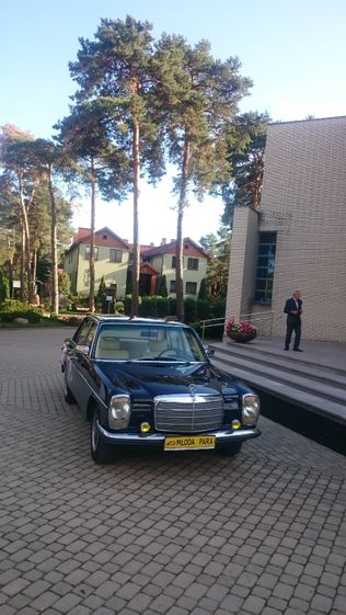 Mercedes W126 biała perła do ślubu i inne klasyki