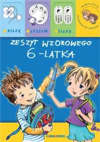 Zeszyt wzorowego 6 - latka - Renata Brzezińska, Anna Heine