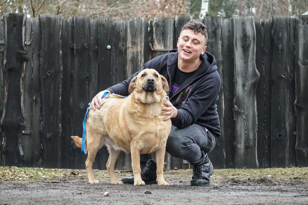 Kenta - super pozytywna sunia szuka domu