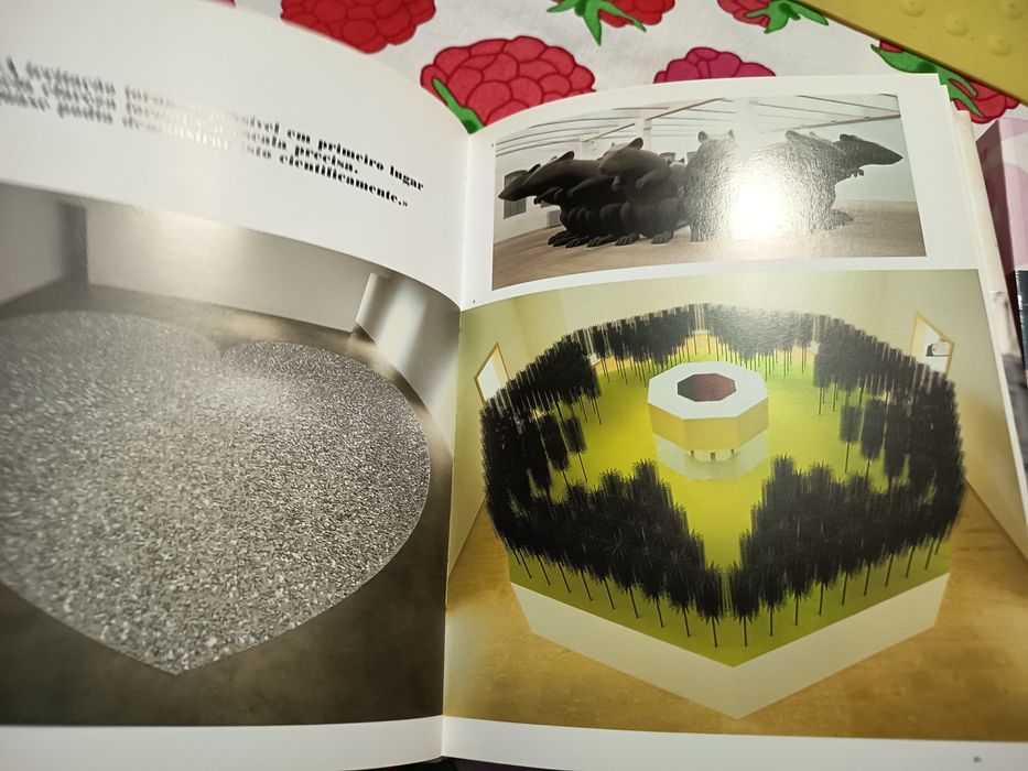 Mulheres artistas tashen