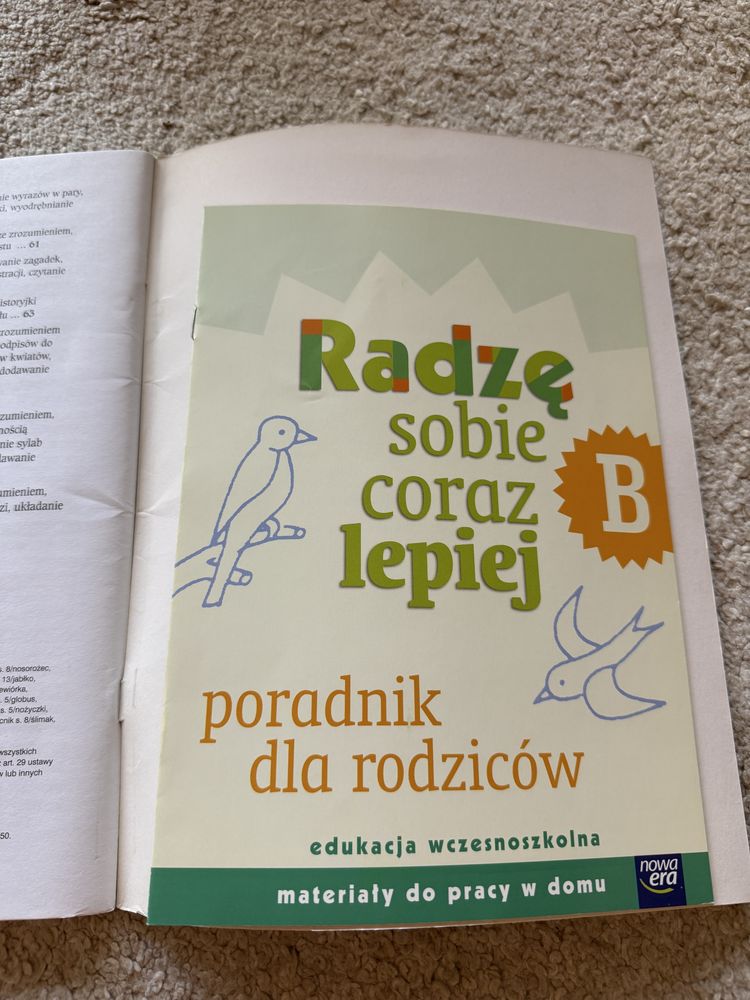 Ćwiczenia do pracy w domu kl. 1 Radzę sobie coraz lepiej B Nowa Era