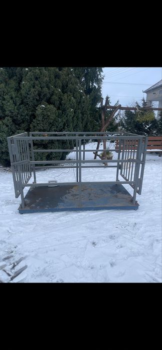 waga inwentarzowa dla bydła