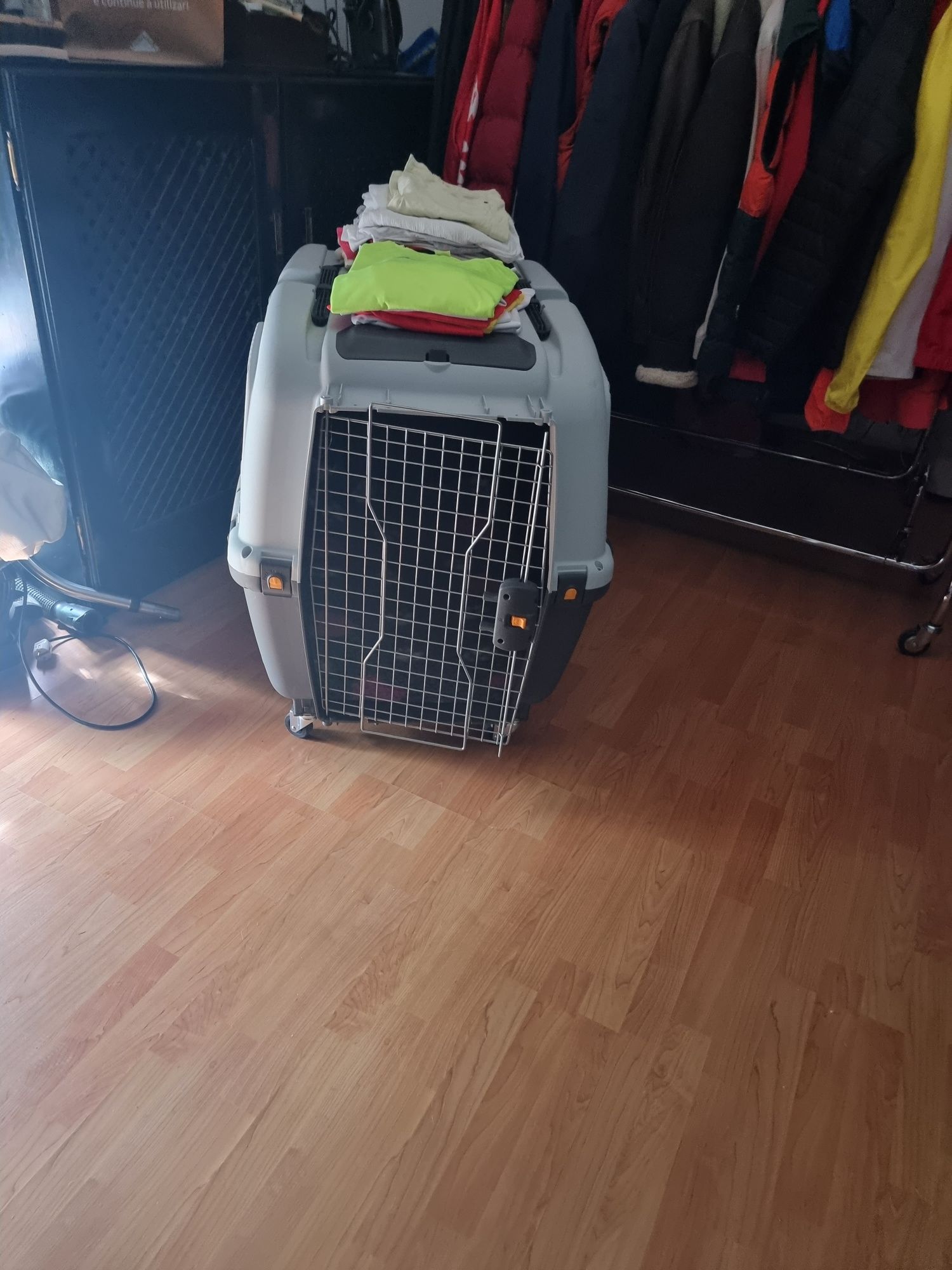 Transportadora skudo 7 nova