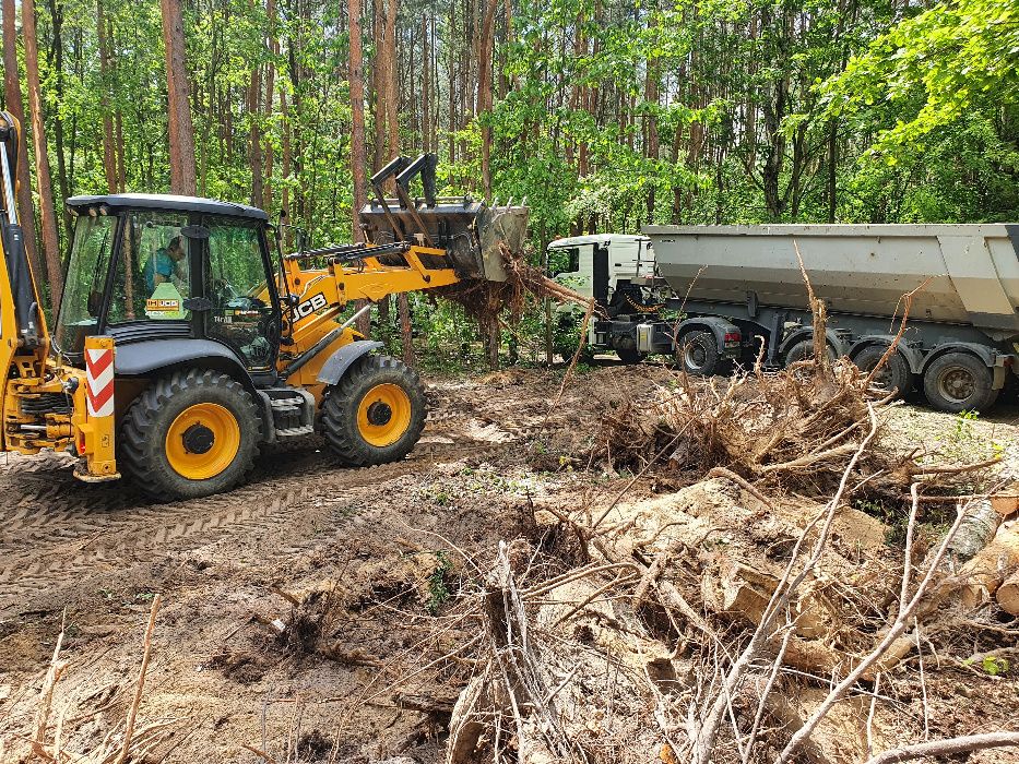 Wycinanie drzew Arciechów, Rynia, Zaubice, Kuligów, Ruda, Marianów