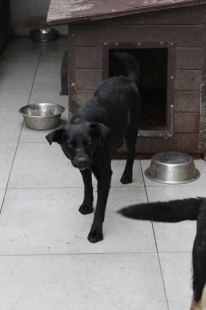 341045 Bójka do świadomej i odpowiedzialnej adopcji.