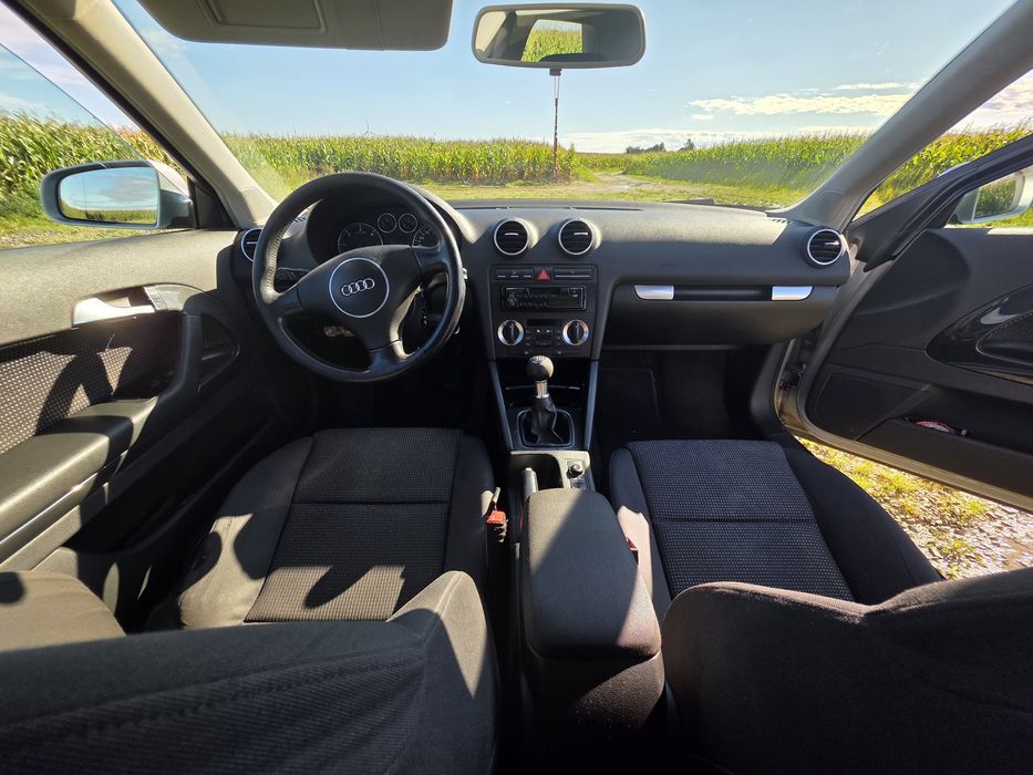 Audi a3 8p 2.0tdi