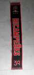 Cachecol Benfica Bi campeao