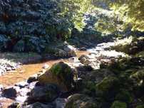Terreno Rustico.