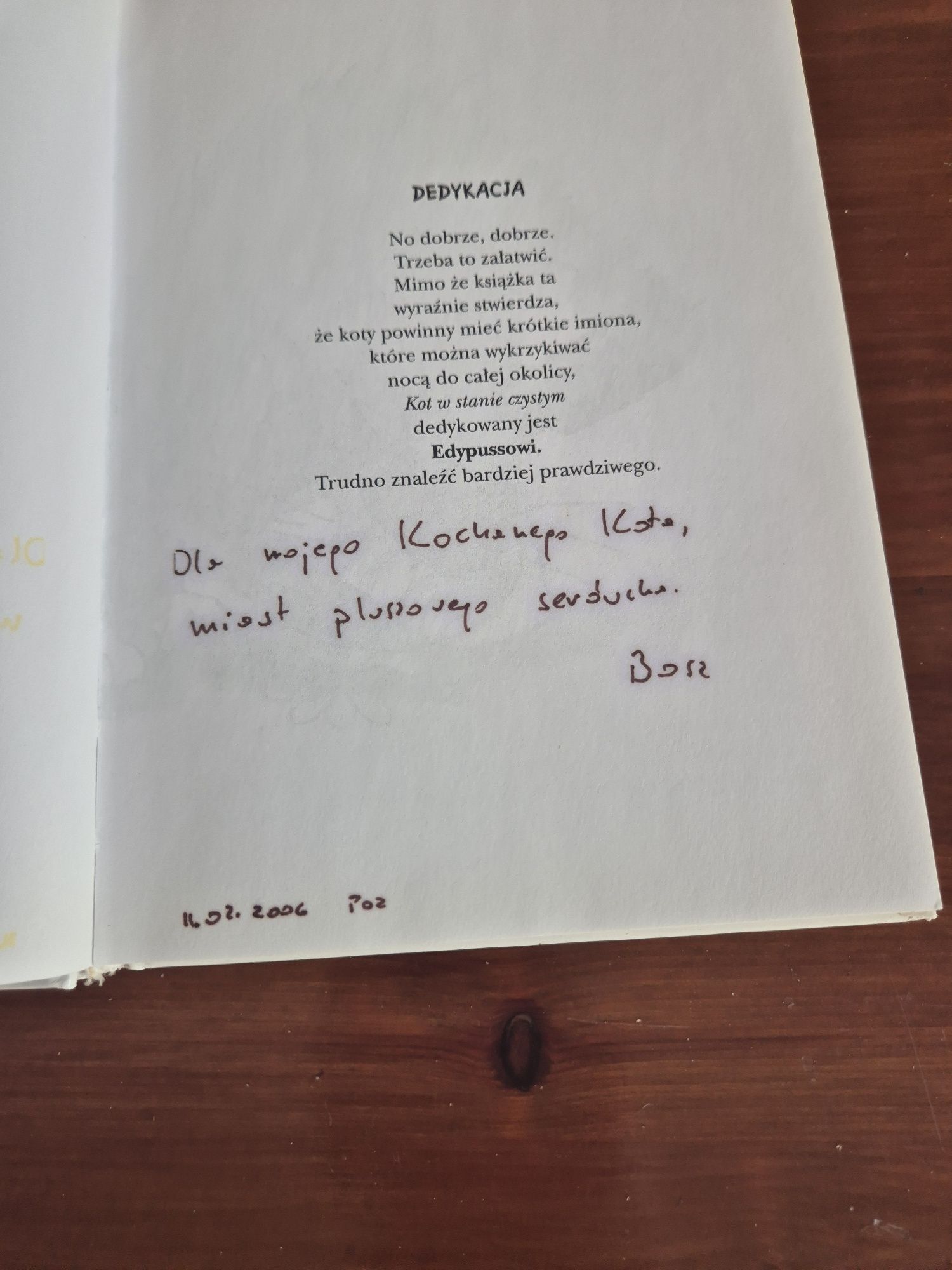 Terry Pratchett - Kot w stanie czystym