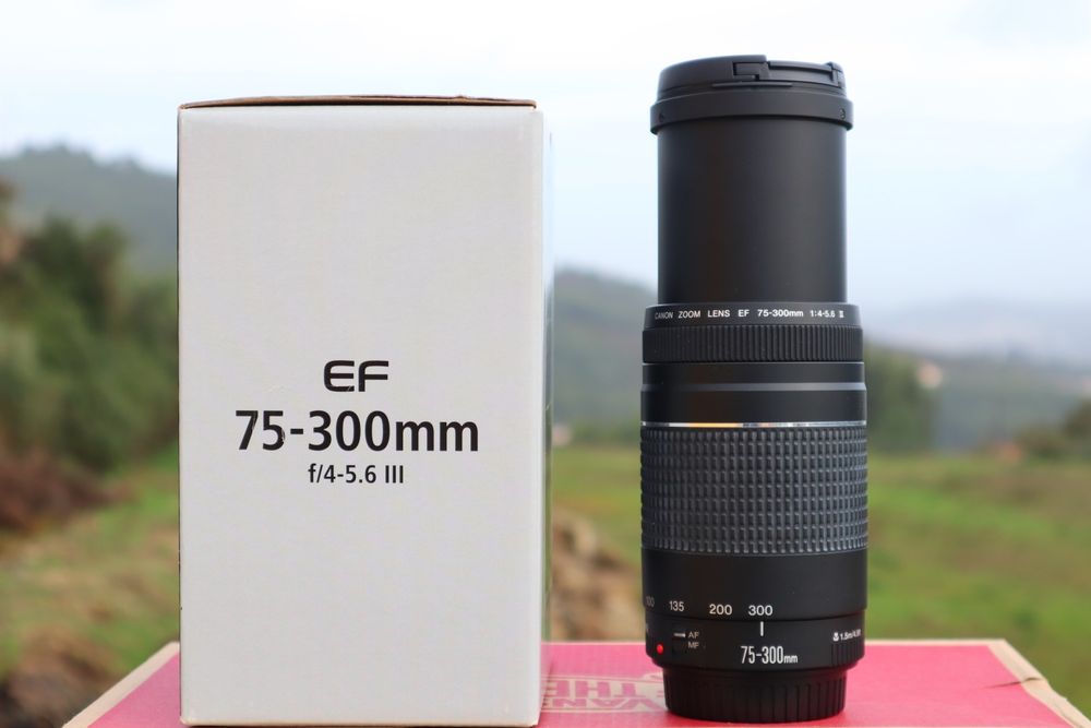 Canon EF 75-300 mm F/4-5.6 III