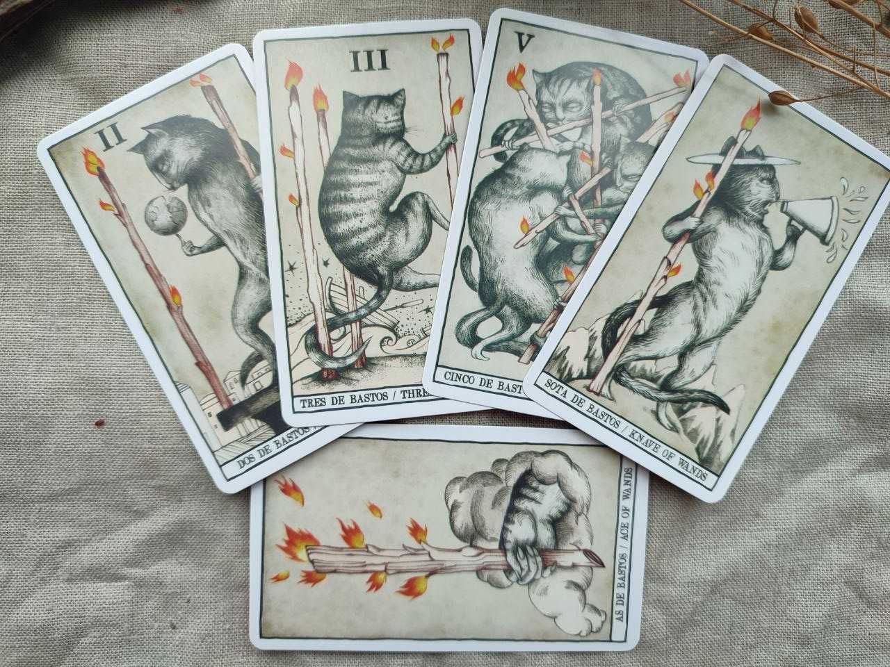 Гадальные карты таро кошек cats tarot таро с котиками котами ана жуан