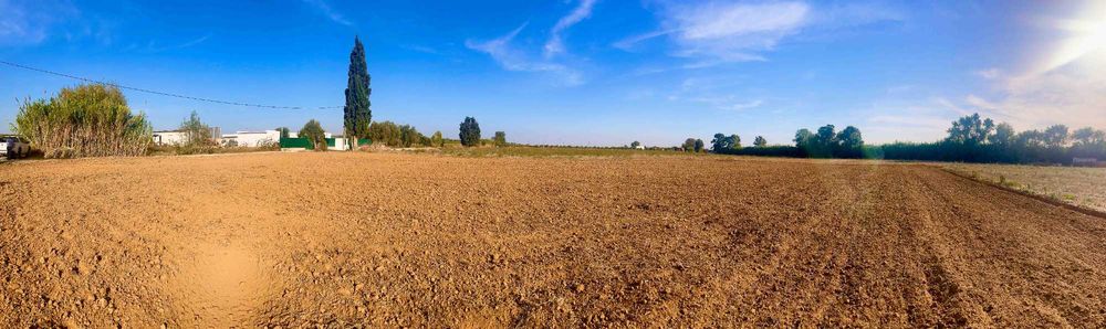 Terreno Agrícola à Venda – com Excelente Acesso | 12.500 €