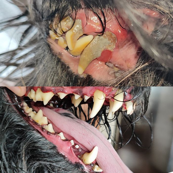 Ультразвуковая чистка зубов 650грн