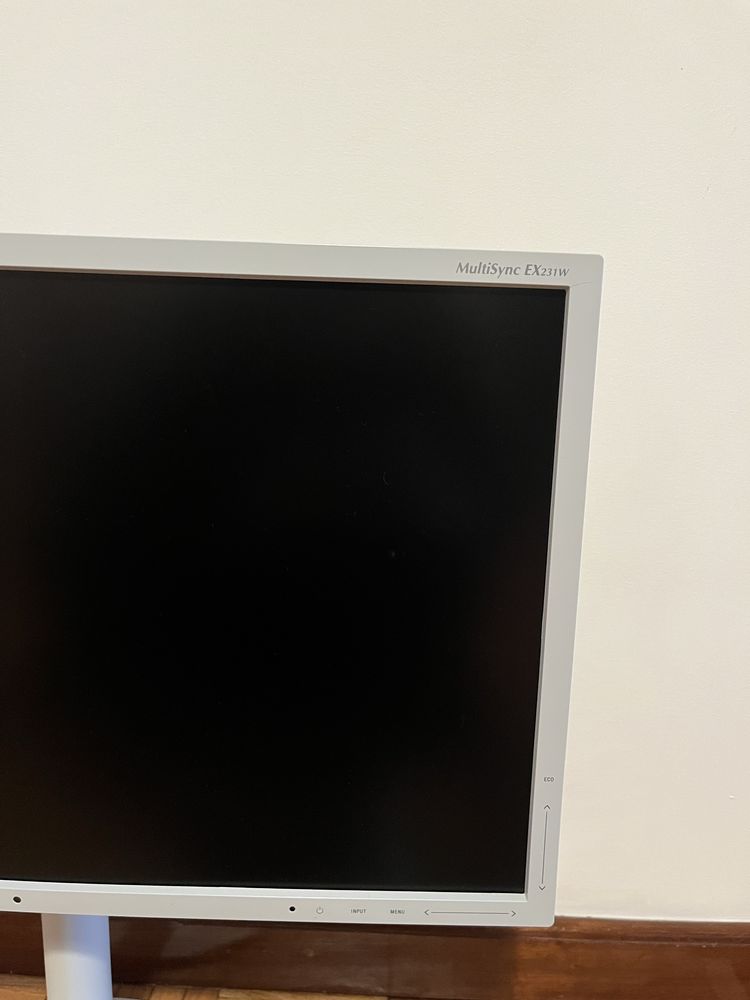 Monitor NEC Multisync EX231W