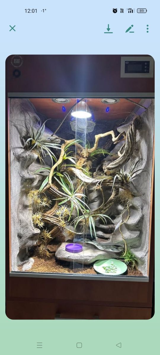 Wyposażone terrarium