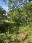 Monte de 10000m2
