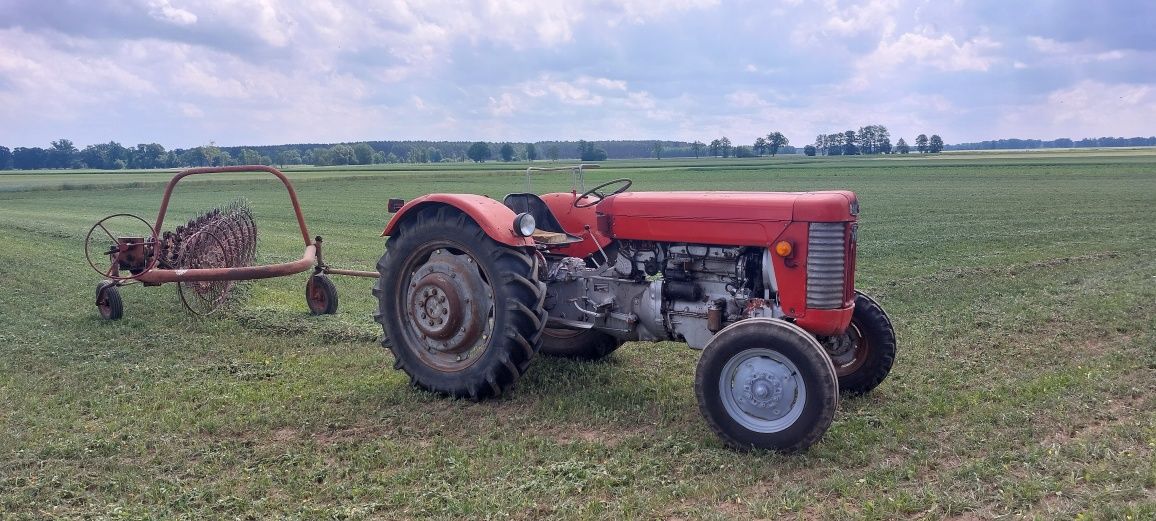 Massey Ferguson 65 mf