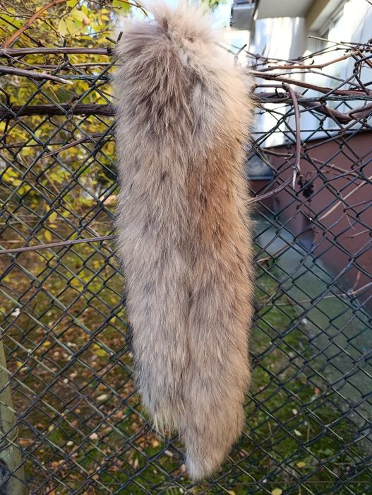 skóra z jenota obszycie z Jenota