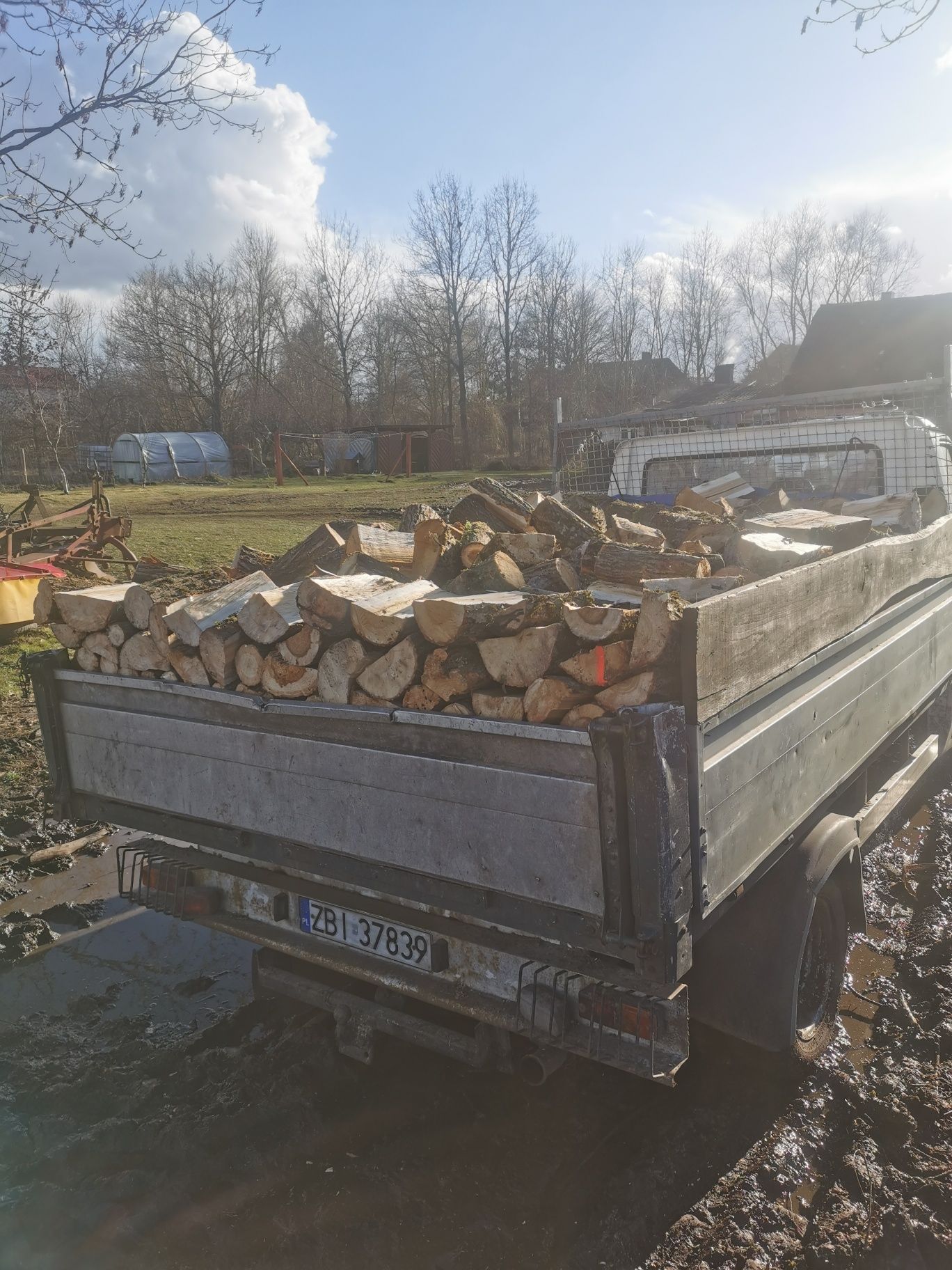 Sprzedam drewno opałowe 8osiem8 5trzy4 291