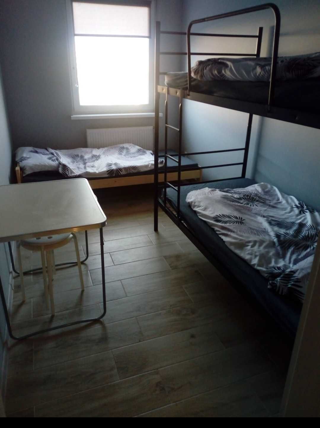 Noclegi , hostel