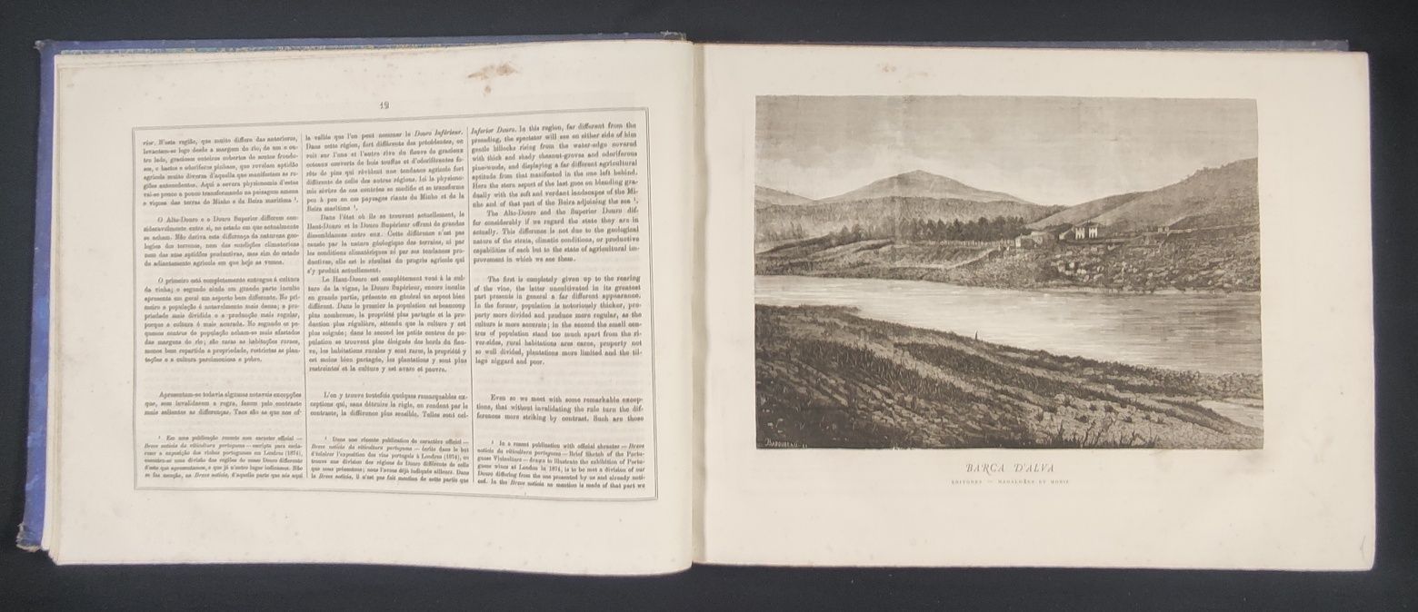 O Douro Ilustrado - Livro raro com gravuras de autor