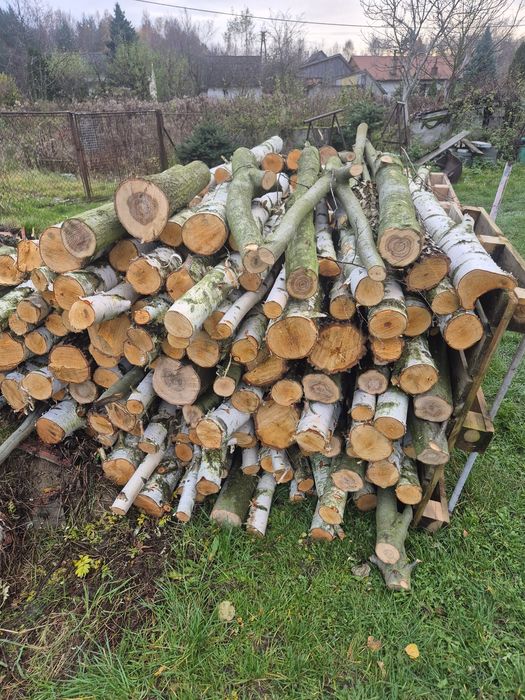 Drewno opałowe dąb i brzoza