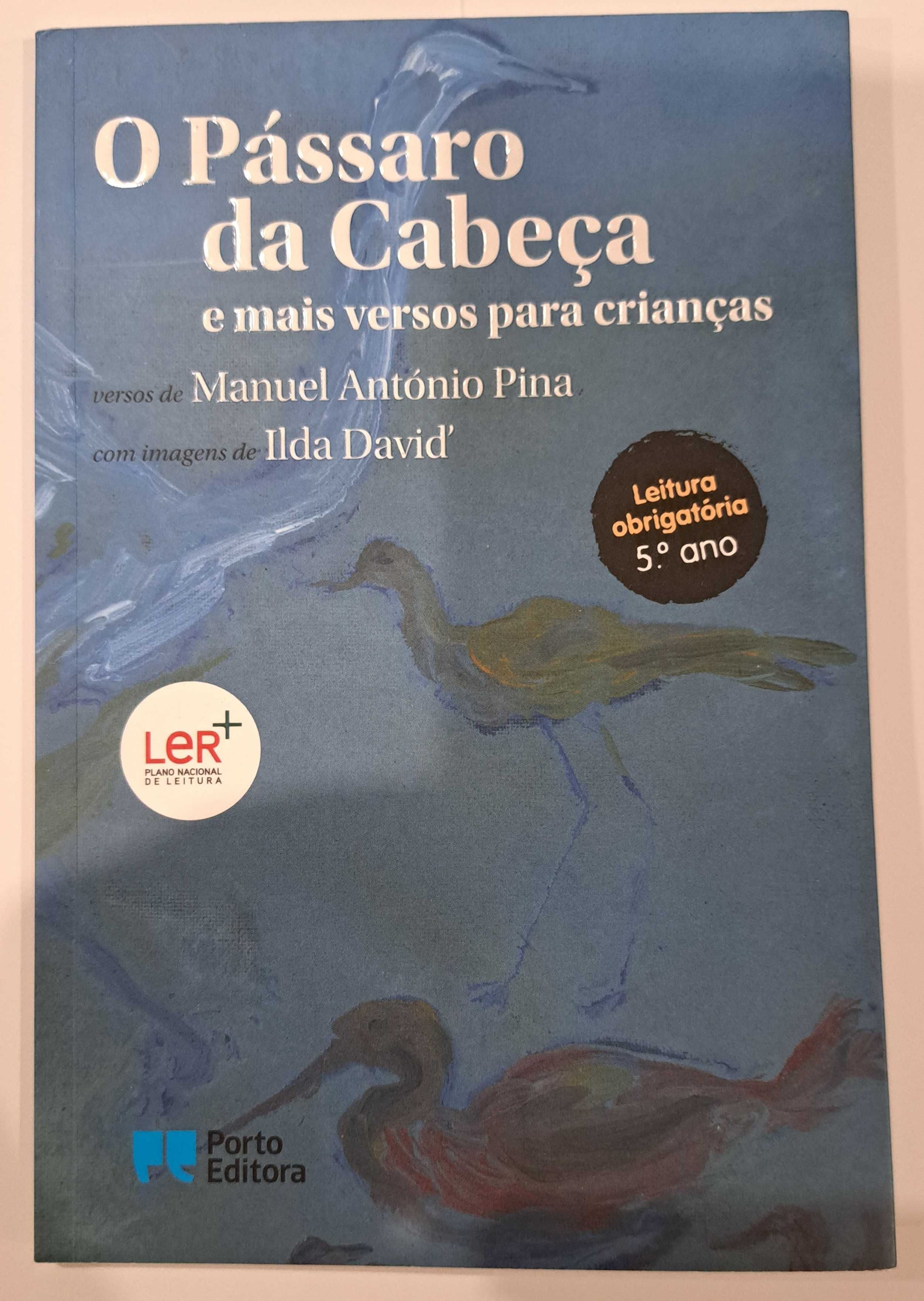 Livros 6º ano leitura obrigatória