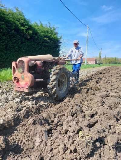 Traktorek przerobiony z bungartz jednoosiowego.Diesel.