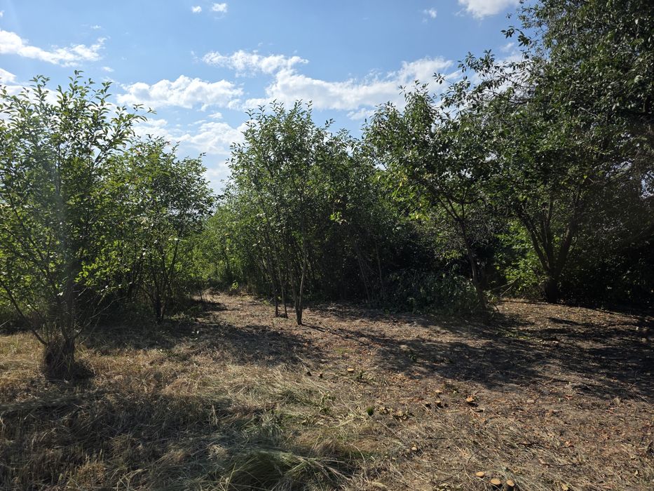 Ревне, 20 соток з будинком