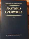 Anatomia Bochenek tom V