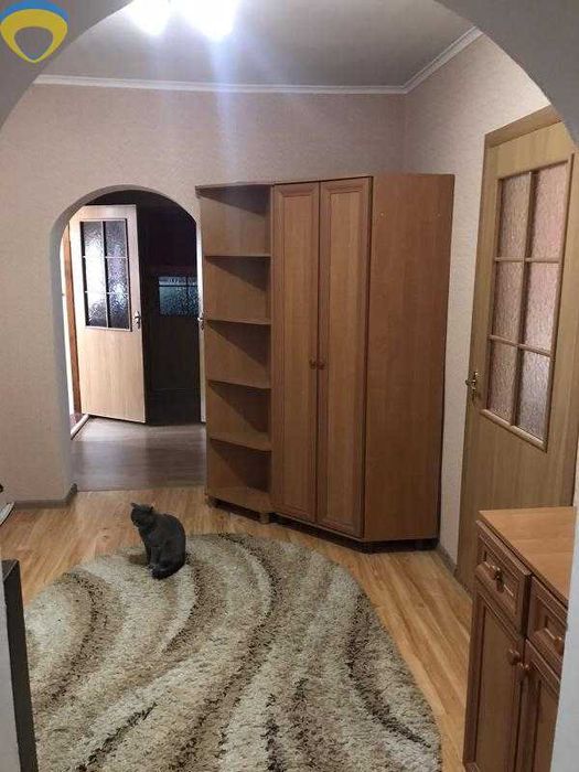 Шикарний великий будинок з ремонтом в передмісті Одеси.