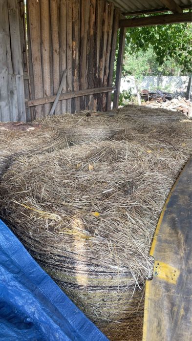 sprzedam słome i siano