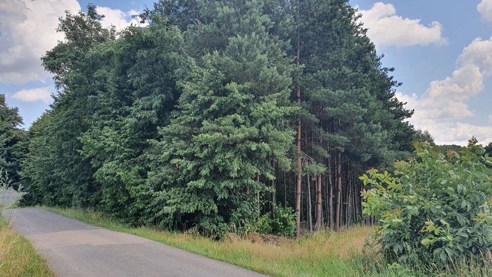 Duża działka pod zabudowę+ pole rolne+ budynek gospodarczy +garaż1,12h