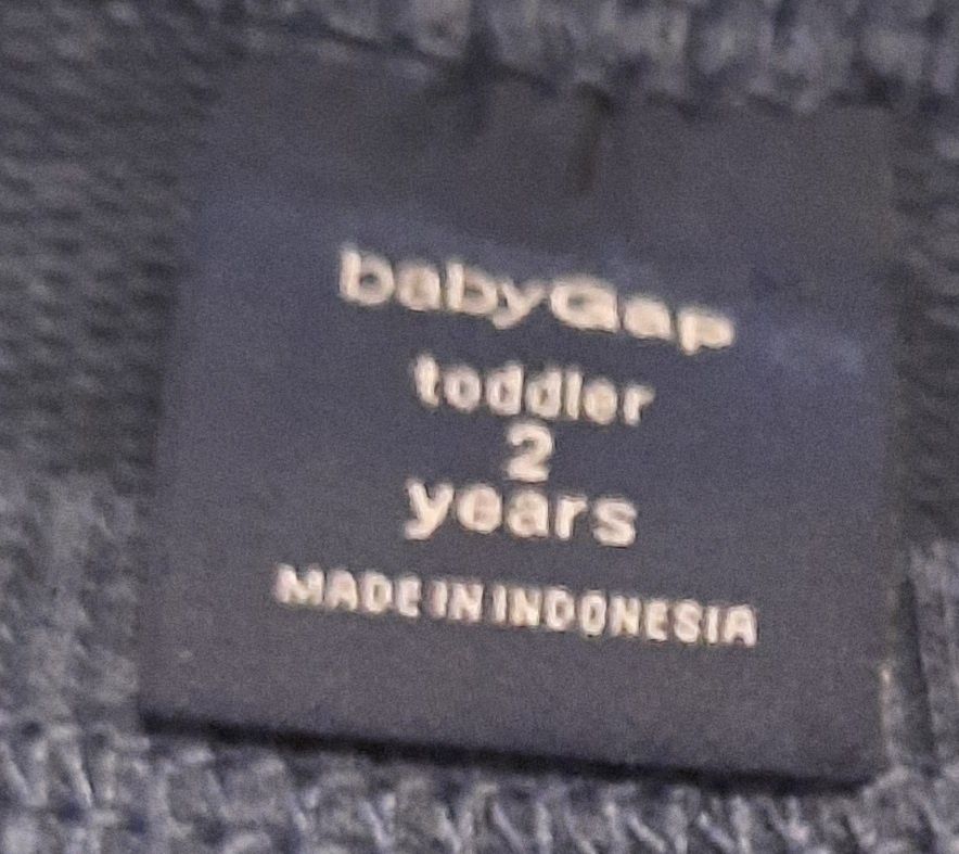 Bluza chłopięca Baby Gap