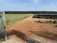 Drogi dojazdowe, utwardzenie placy manewrowych, kruszywo, podbudowa
