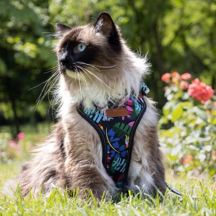 szelki guard antyucieczkowe dla dużego psa labradora l 25 mm  tropical