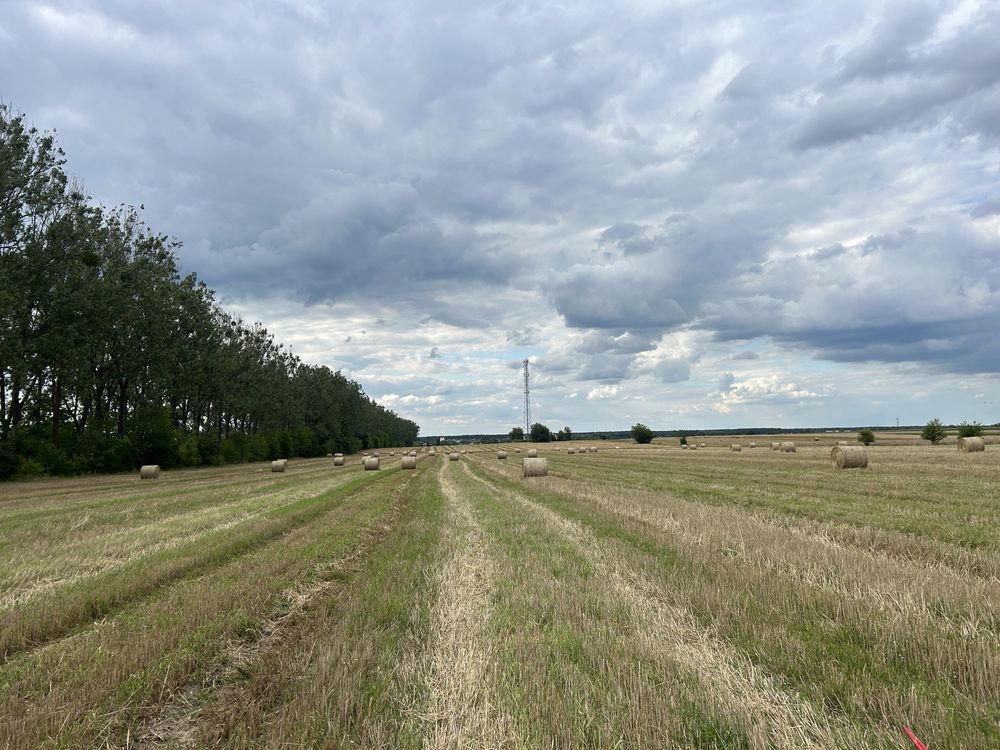 Sprzedam słomę w belach
